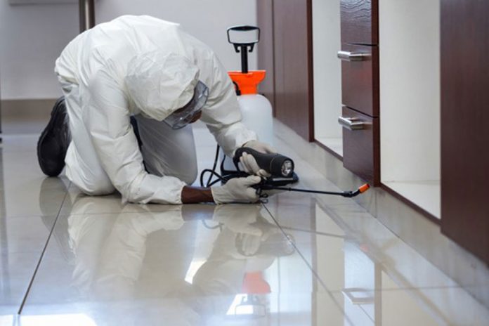 pest-control