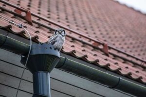 Preparing Your Gutters