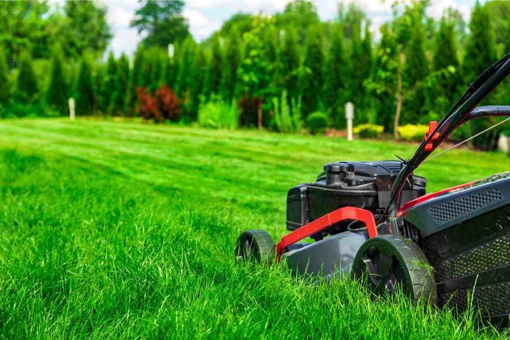 Lawn on Life Support